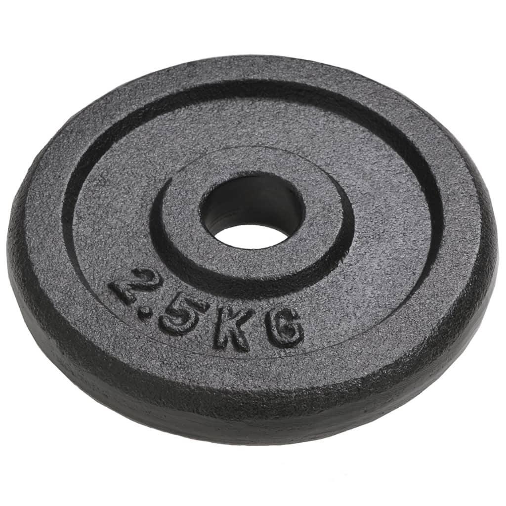 Hantelscheibe 40 kg Gusseisen