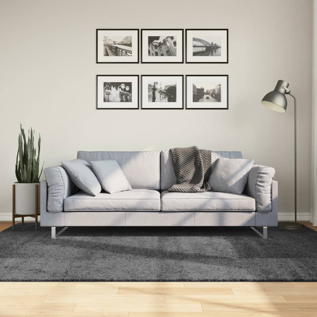 Teppich OVIEDO Kurzflor Anthrazit 120x120 cm