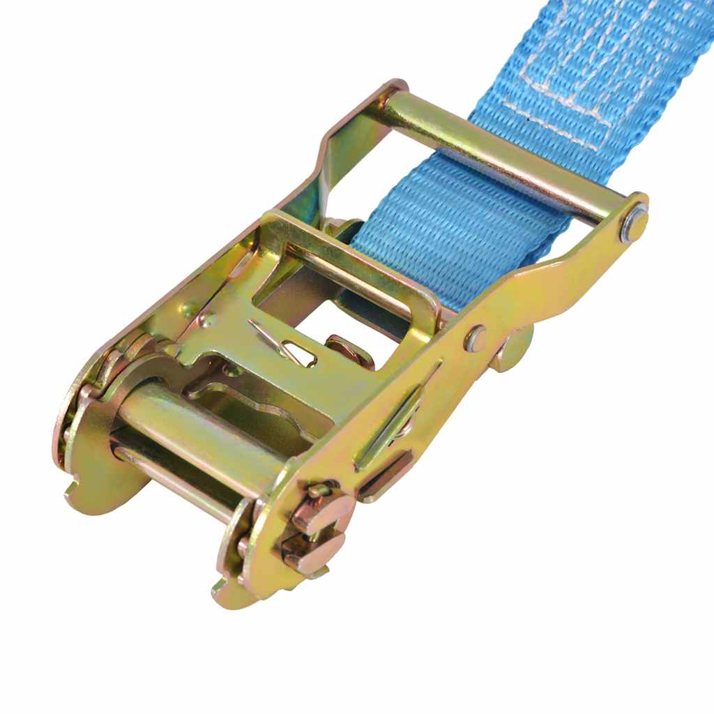 Ratschen-Spanngurte 4 Stk. 0,8 Tonnen 6m×25mm Blau
