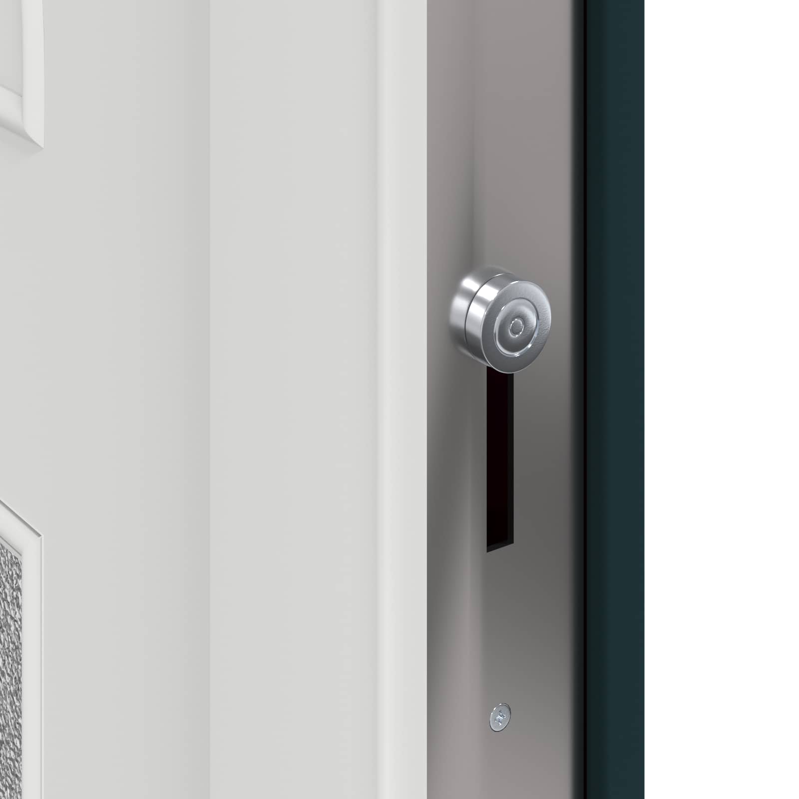 Haustür Weiß 98x198 cm