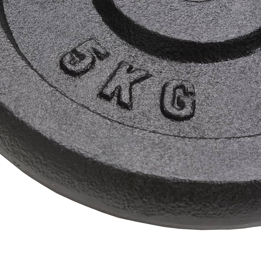 Hantelscheibe 40 kg Gusseisen