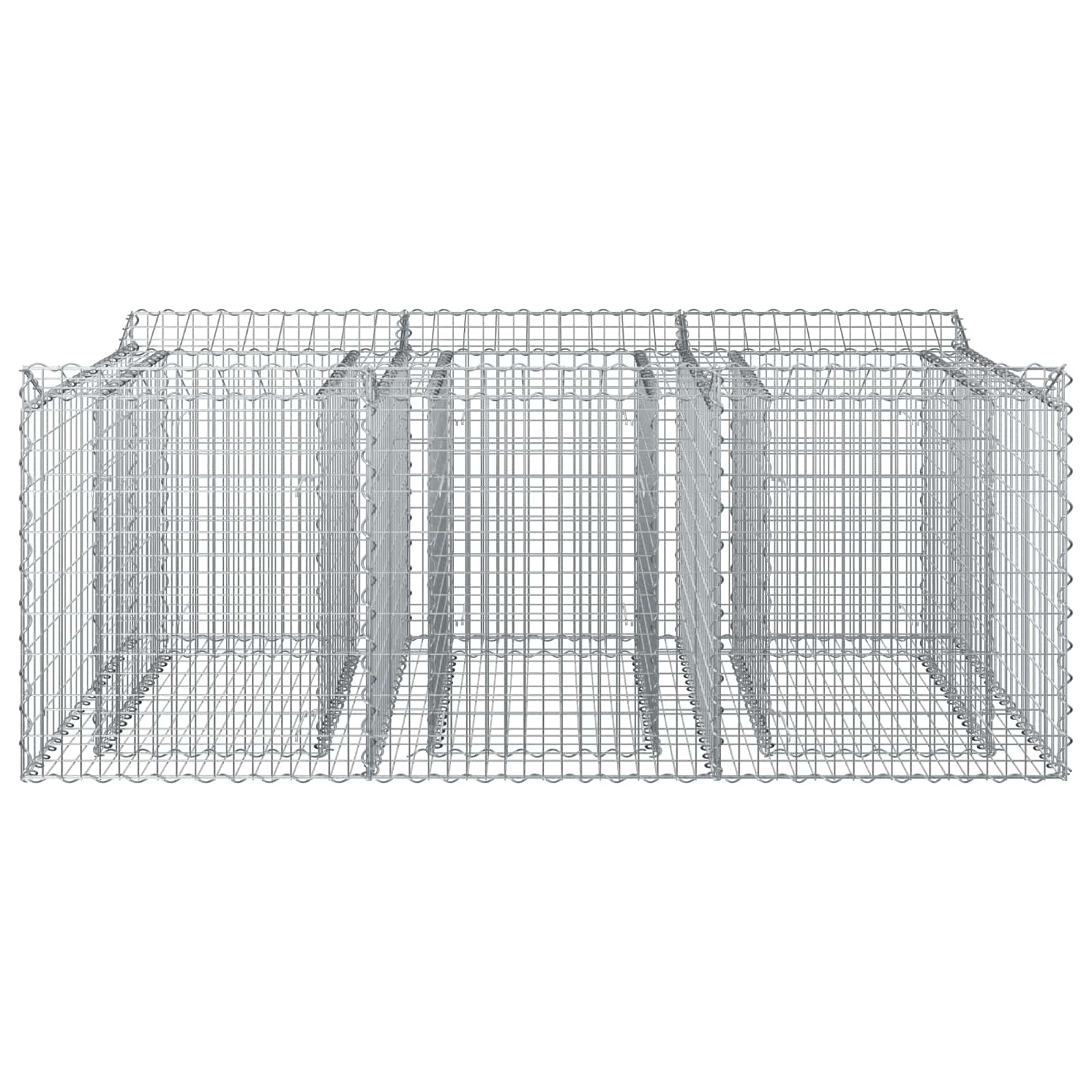 Gabionen-Hochbeet 2 pcs Silber