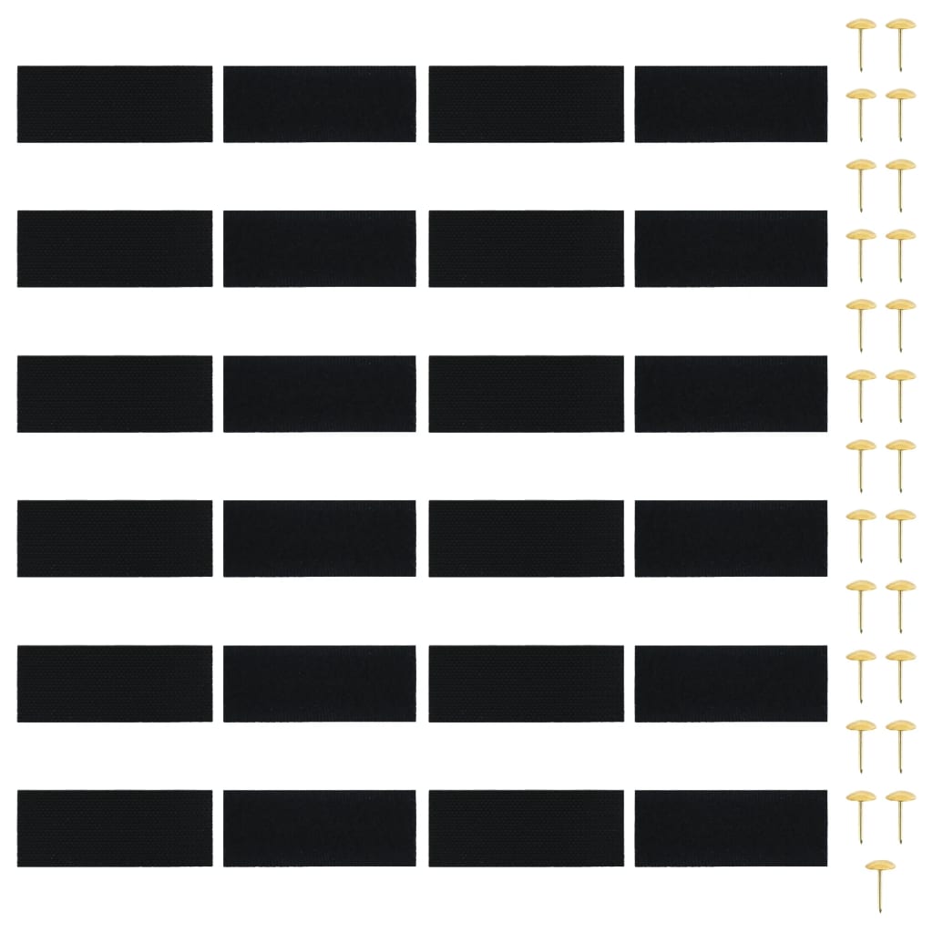 Fliegengitter-Türvorhänge 2 Stk. Magnet Schwarz 200x80 cm