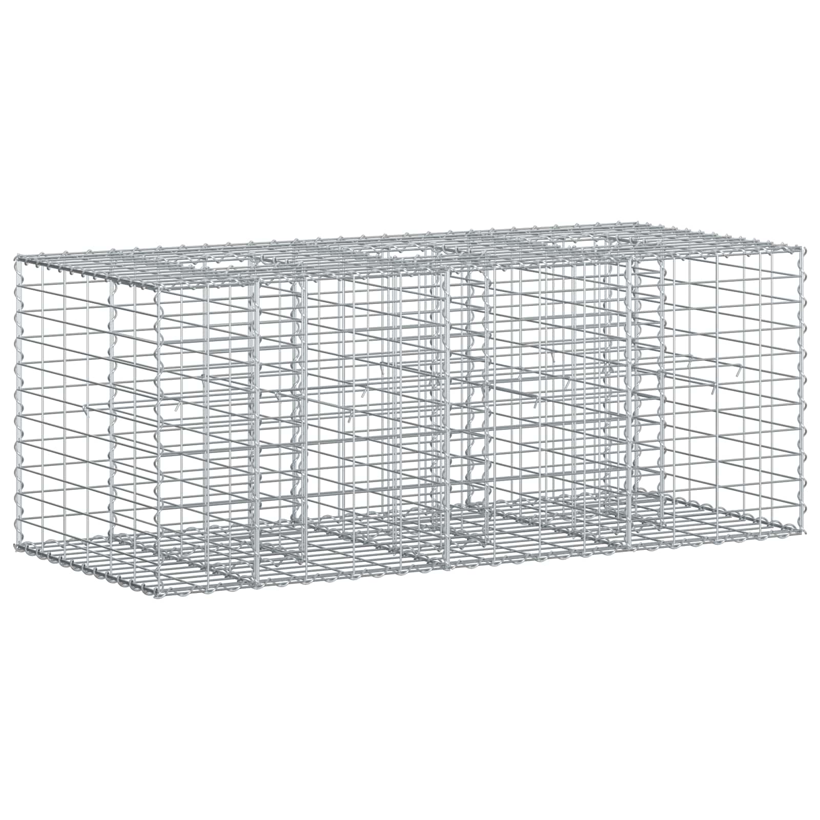 Gabionen Hochbeet 2 pcs Silber 260 x 60 x 55 cm