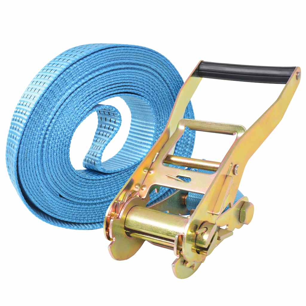 Ratschen-Spanngurte 4 Stk. 0,8 Tonnen 6m×25mm Blau