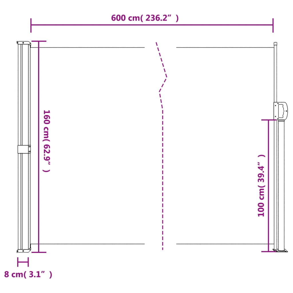 Seitenmarkise Ausziehbar Schwarz 100x300 cm