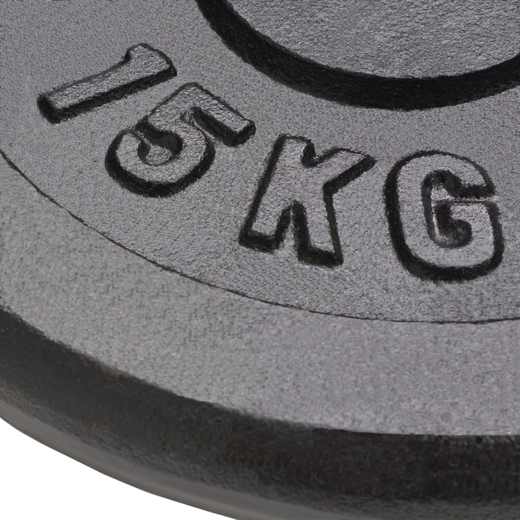 Hantelscheibe 40 kg Gusseisen
