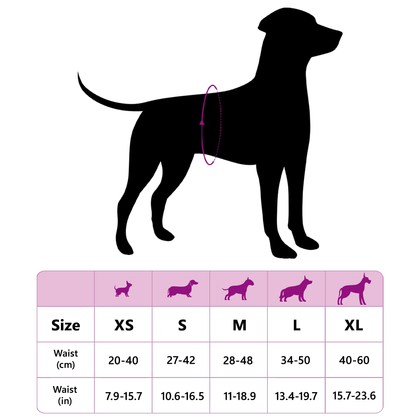 Einweg-Hundewindel für Rüden 30 pcs Weiß XS