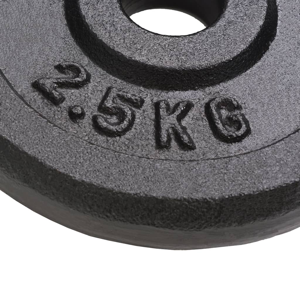 Hantelscheibe 40 kg Gusseisen