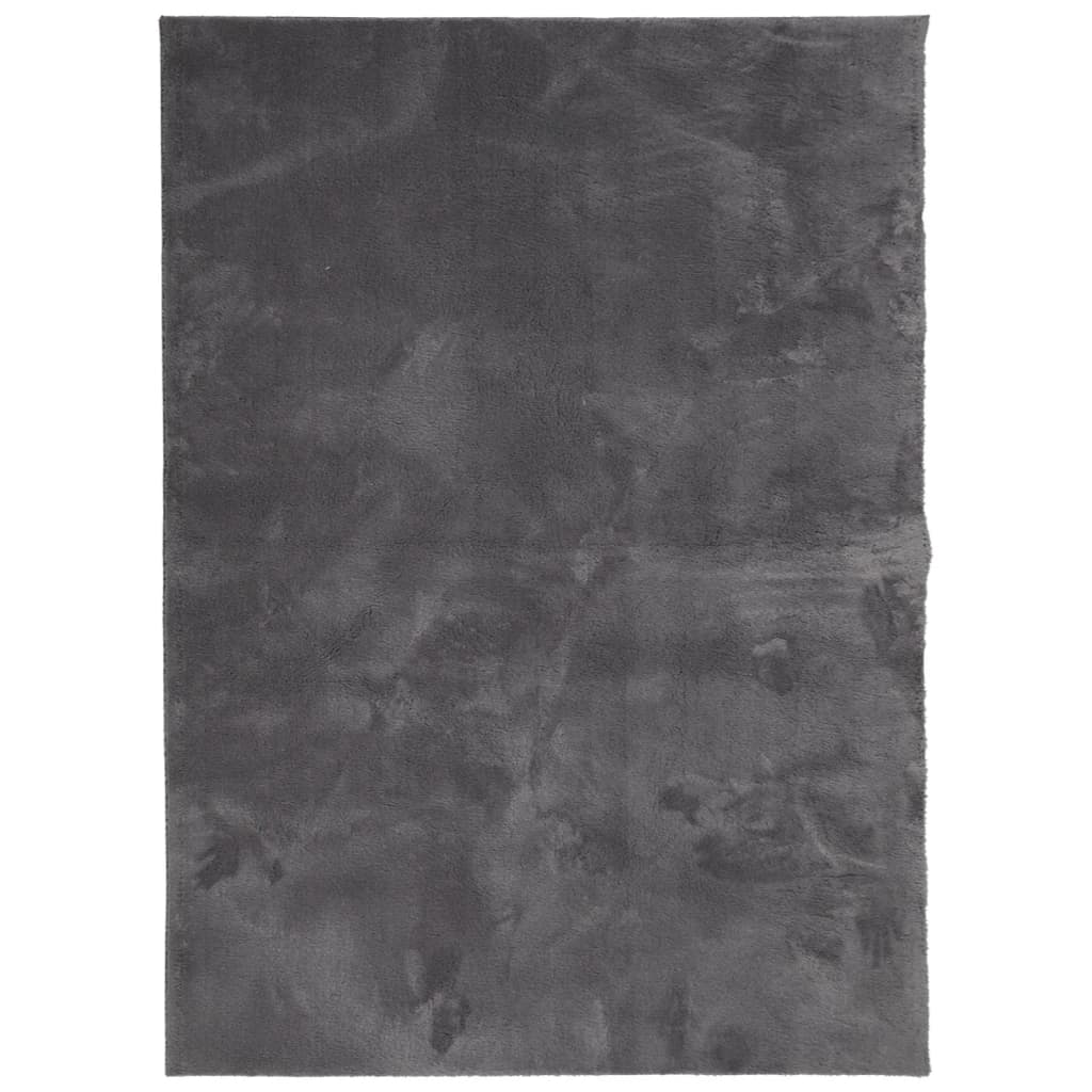 Teppich HUARTE Kurzflor Weich und Waschbar Anthrazit 60x110 cm