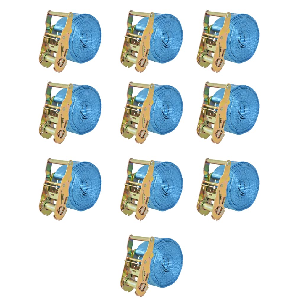 Ratschen-Spanngurte 4 Stk. 0,8 Tonnen 6m×25mm Blau