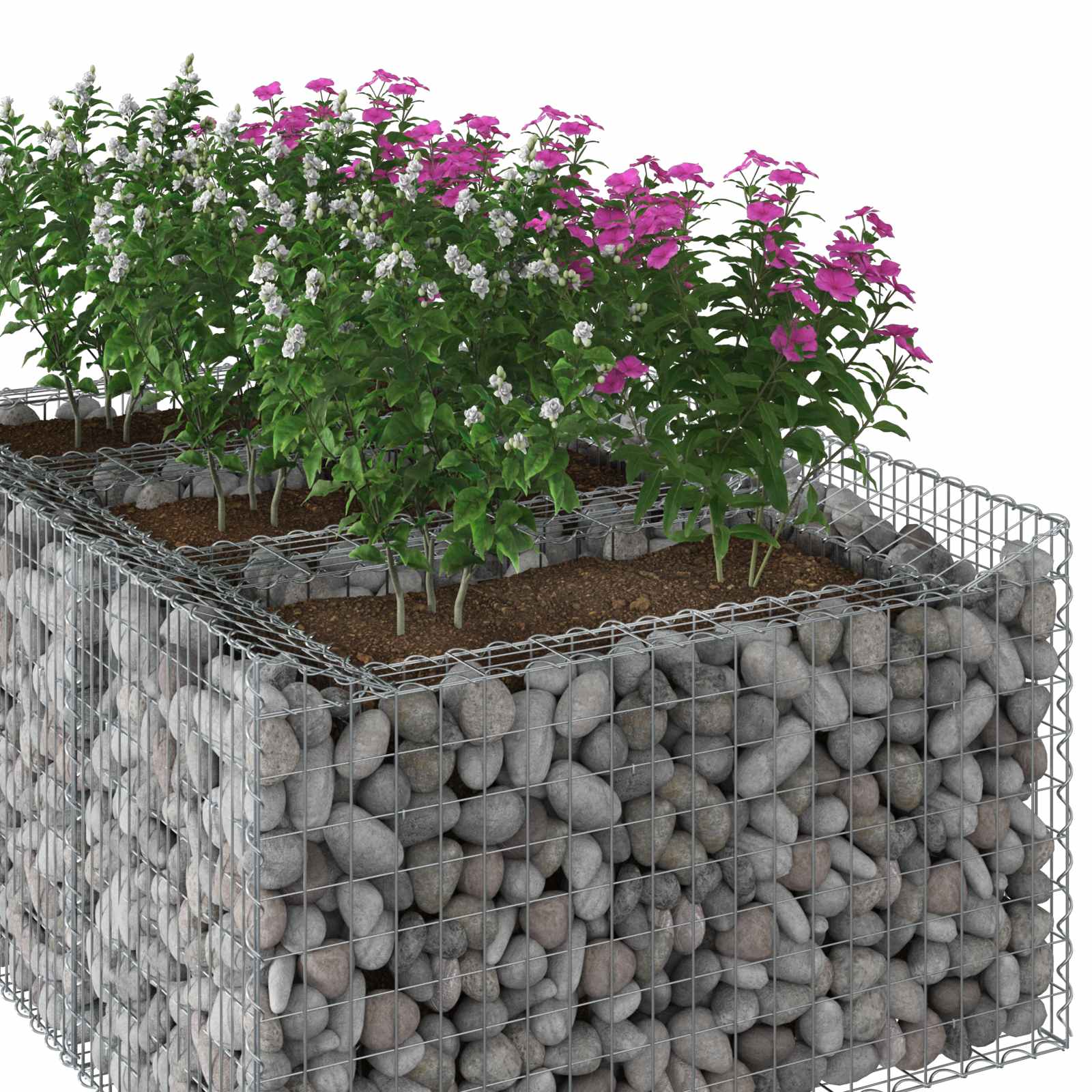 Gabionen-Hochbeet 2 pcs Silber
