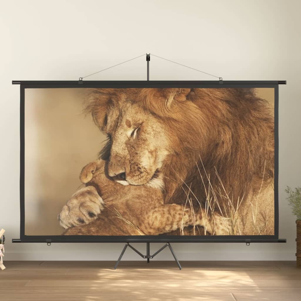 Beamer Leinwand 89" 1:1