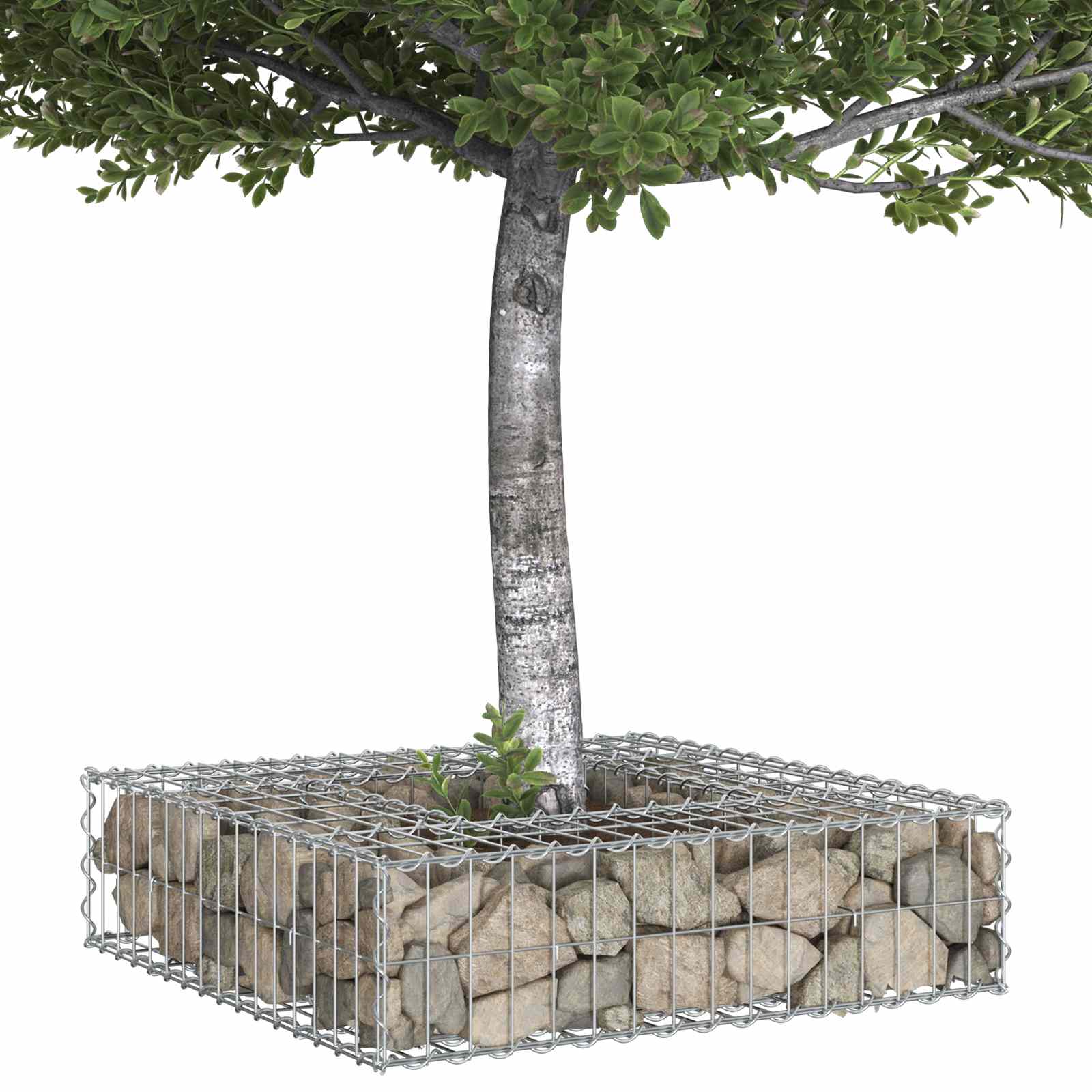 Gabionen Hochbeet Silber