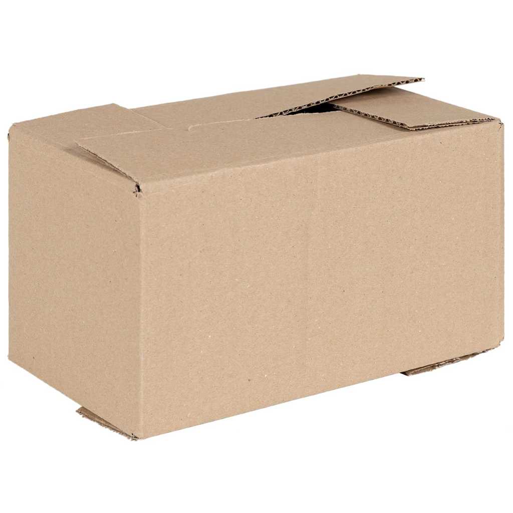 Faltbox mit Speicher 50 pcs Natur 15 x 15 x 8 cm Karton