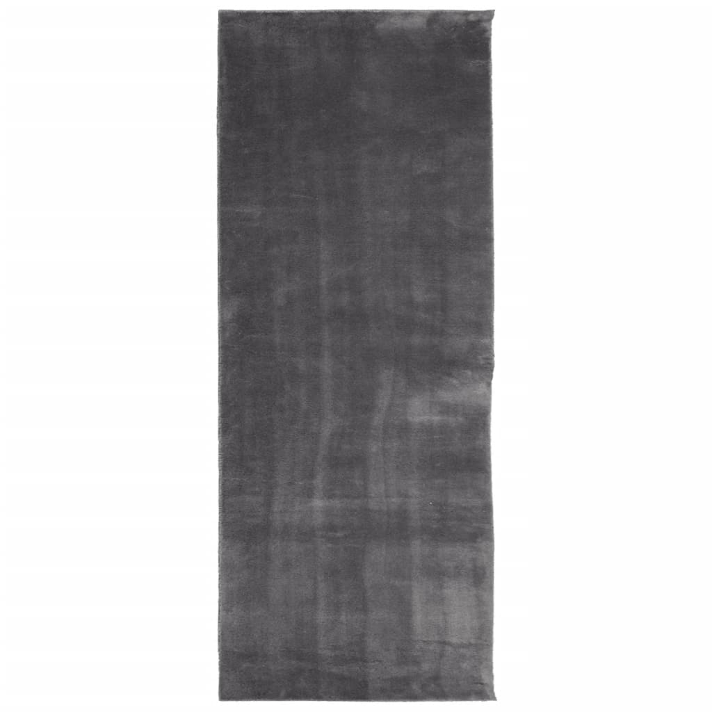 Teppich HUARTE Kurzflor Weich und Waschbar Anthrazit 60x110 cm