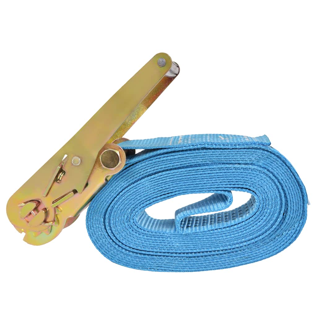 Ratschen-Spanngurte 4 Stk. 0,8 Tonnen 6m×25mm Blau