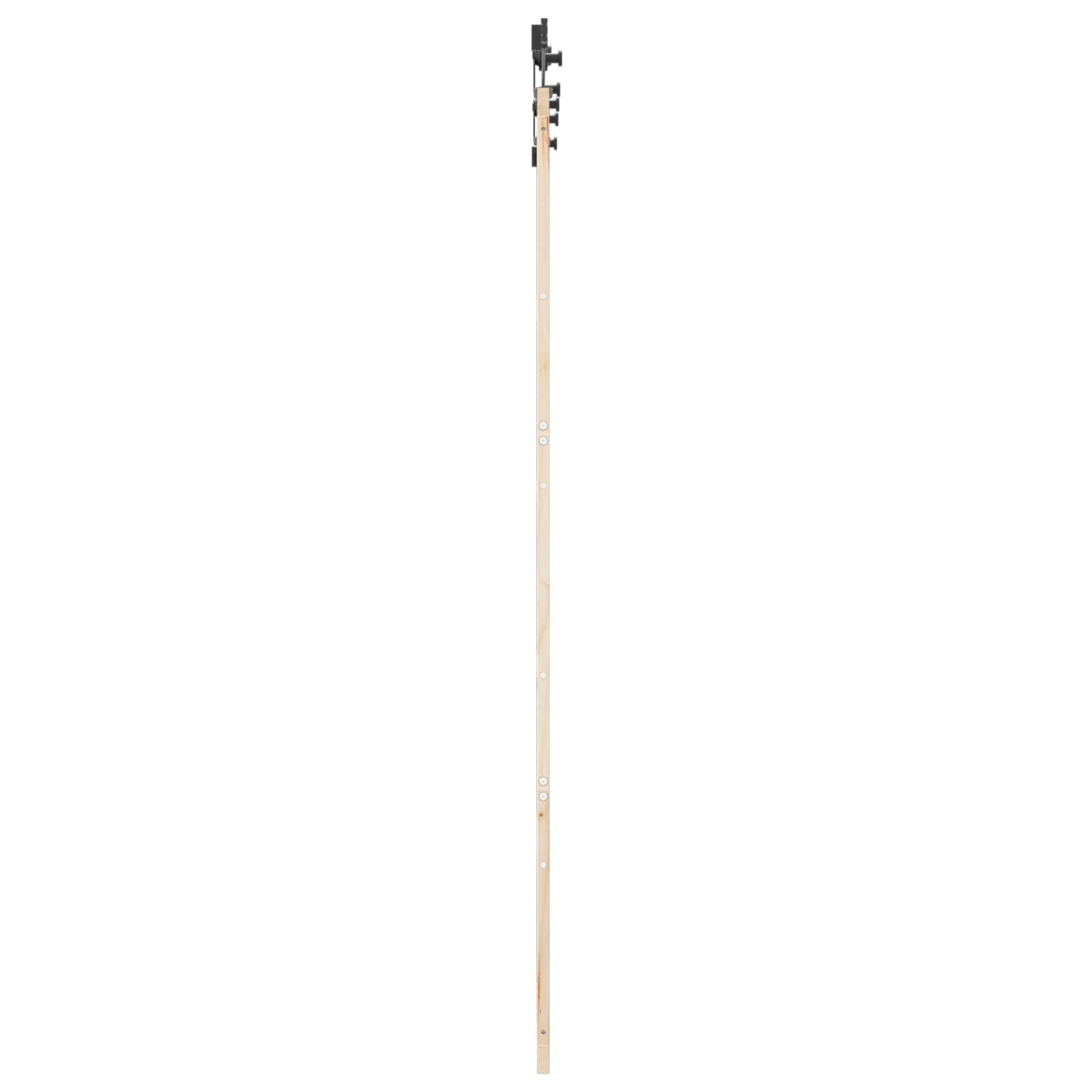 Schiebetür Natur 100 x 208 cm Massives Kiefernholz