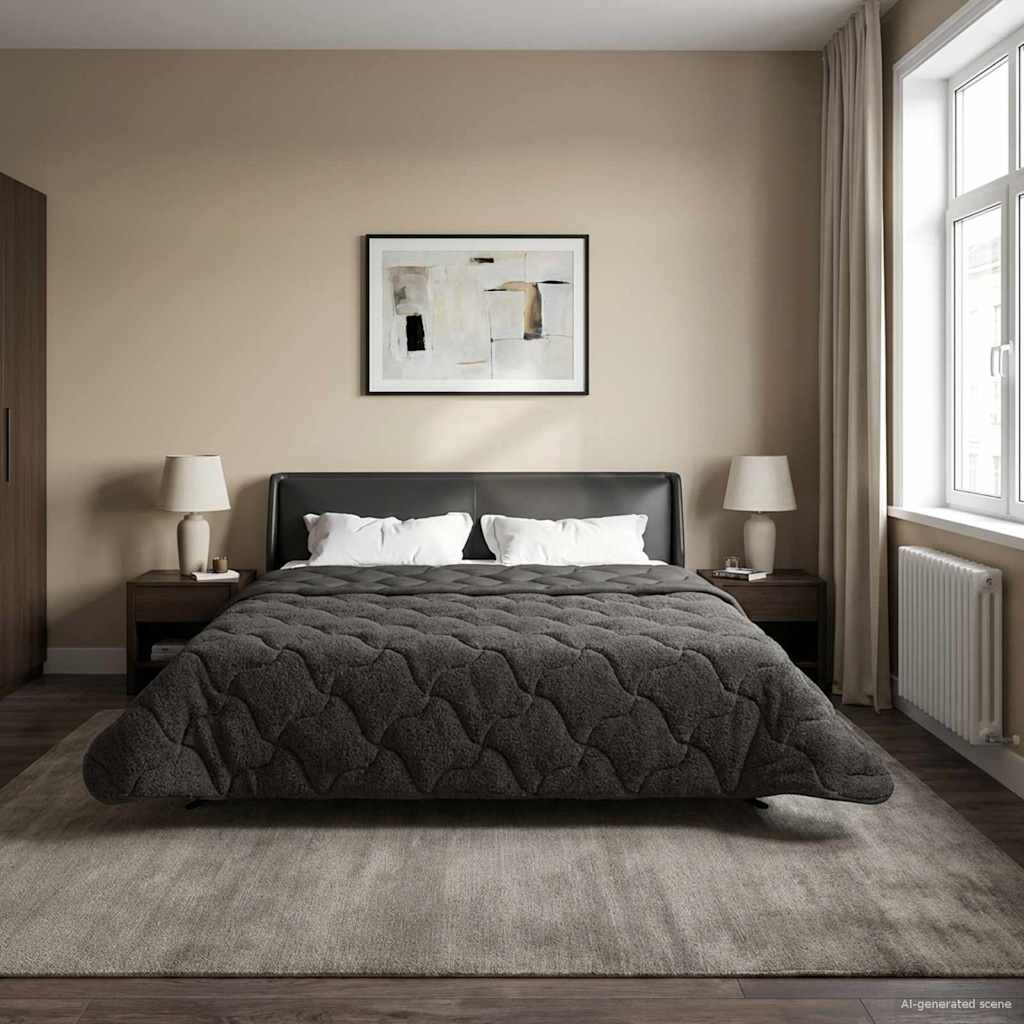 Sommerdecke Anthrazit 135 x 200 cm Mikrofaser und Teddy-Fleece