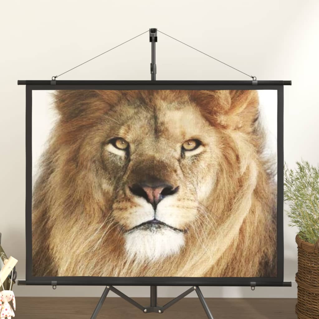 Beamer Leinwand 89" 1:1