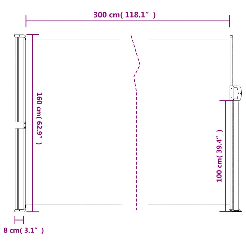 Seitenmarkise Ausziehbar Schwarz 100x300 cm