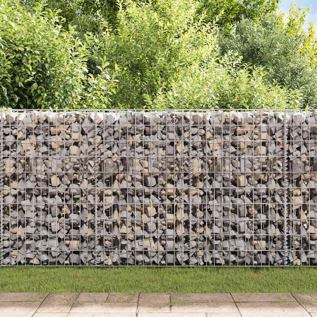Gabionenkorb Pflanzkasten Gemüse-Hochbeet Stahl 300×30×100 cm