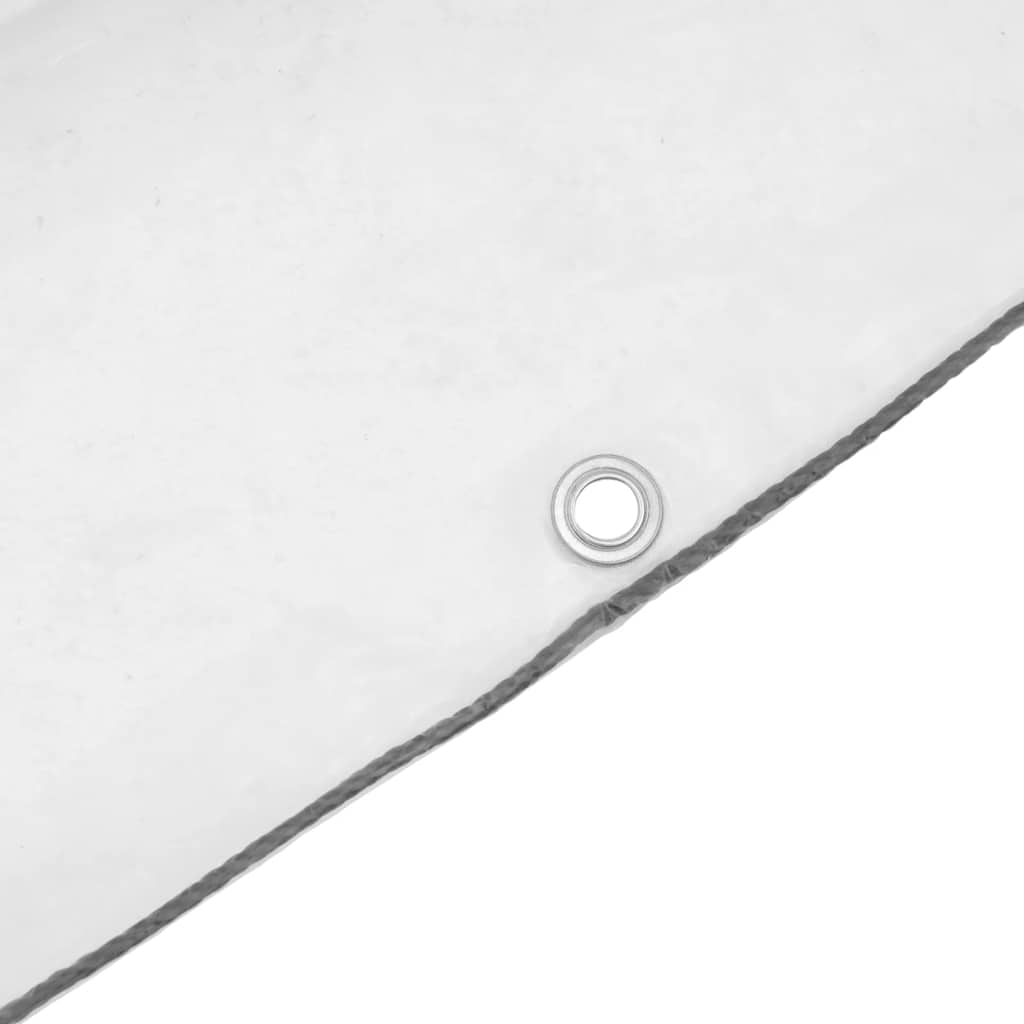 Transparente Plane mit Ösen 1x2 m Polyethylen