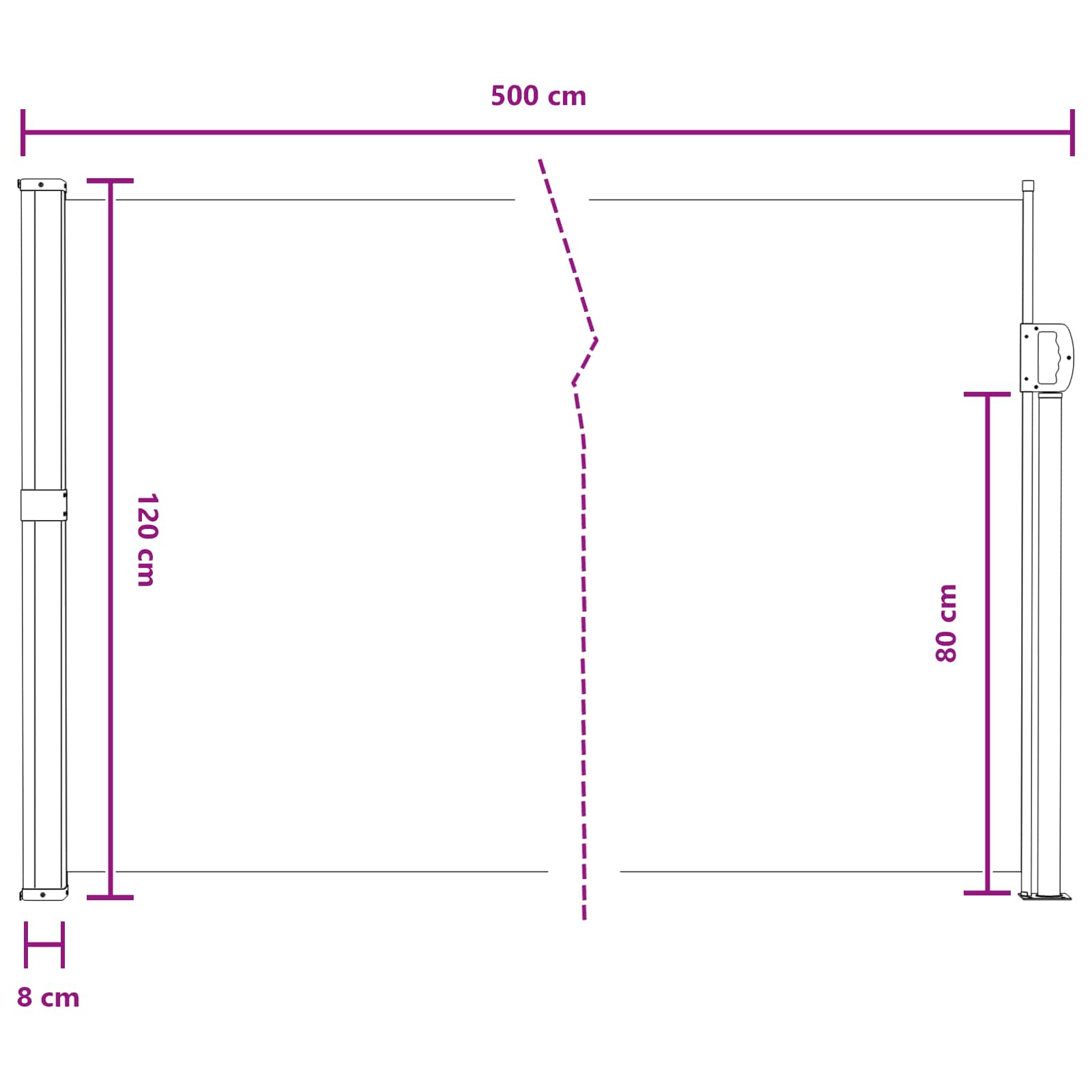 Seitenmarkise Ausziehbar Schwarz 100x300 cm