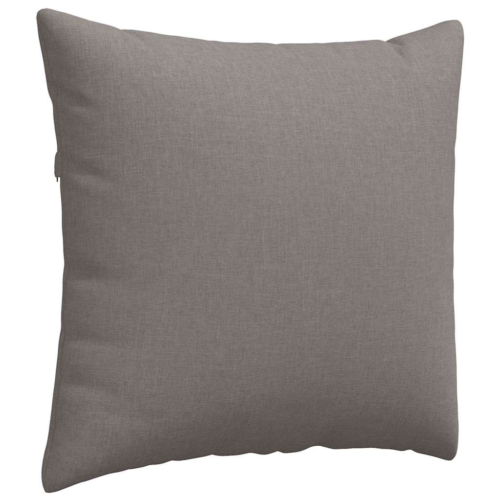 Sofakissen 2 pcs Hellgrau 50 x 30 cm Stoff