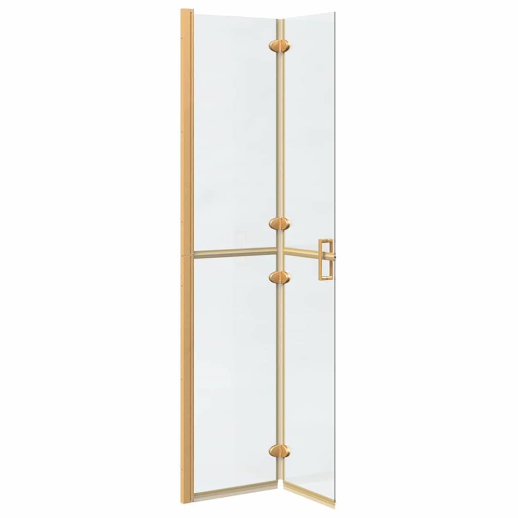 Faltbare begehbare Duschwand Transparentes ESG Glas 70x190 cm