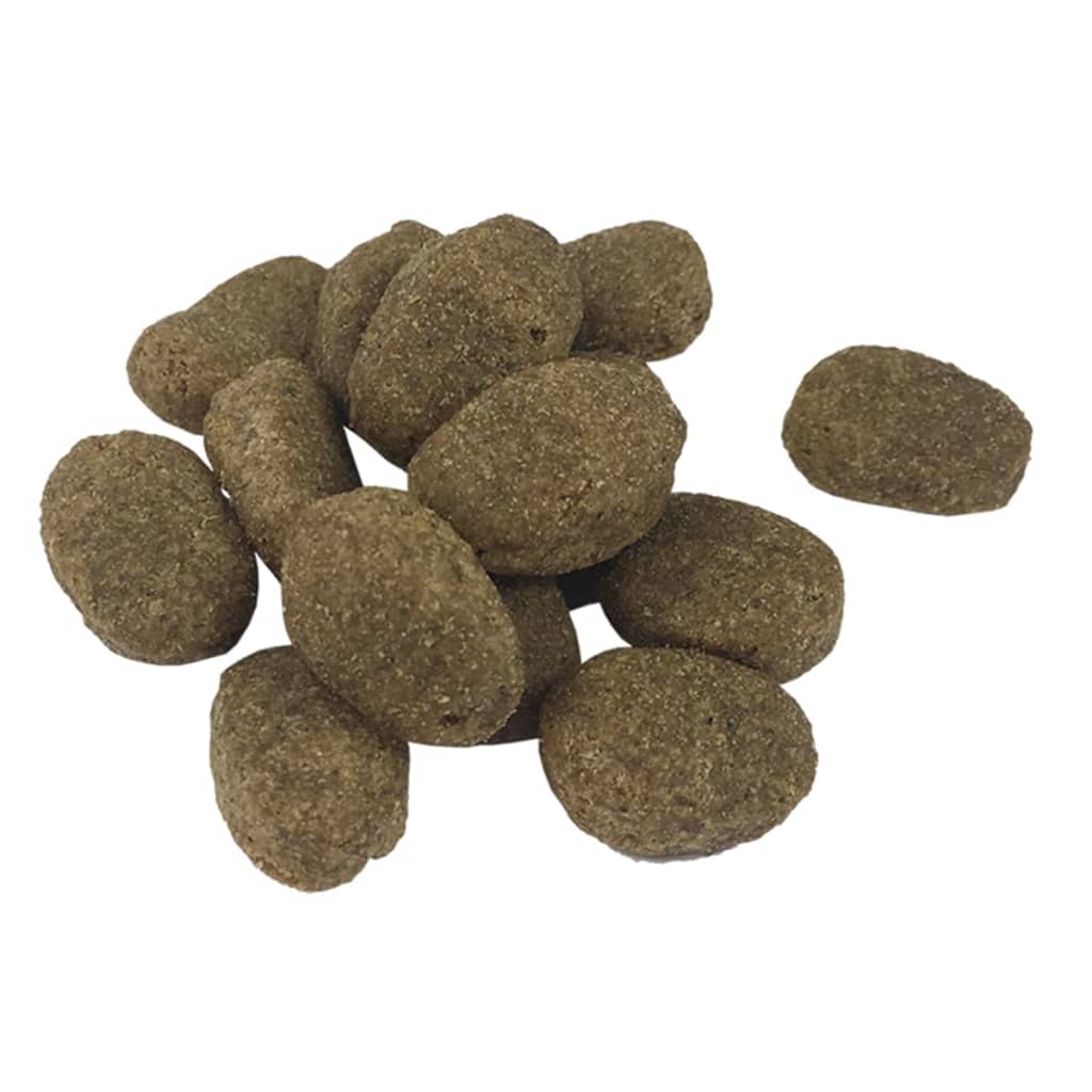 Trockenfutter für Hunde Adult Active Chicken & Fish 15 kg