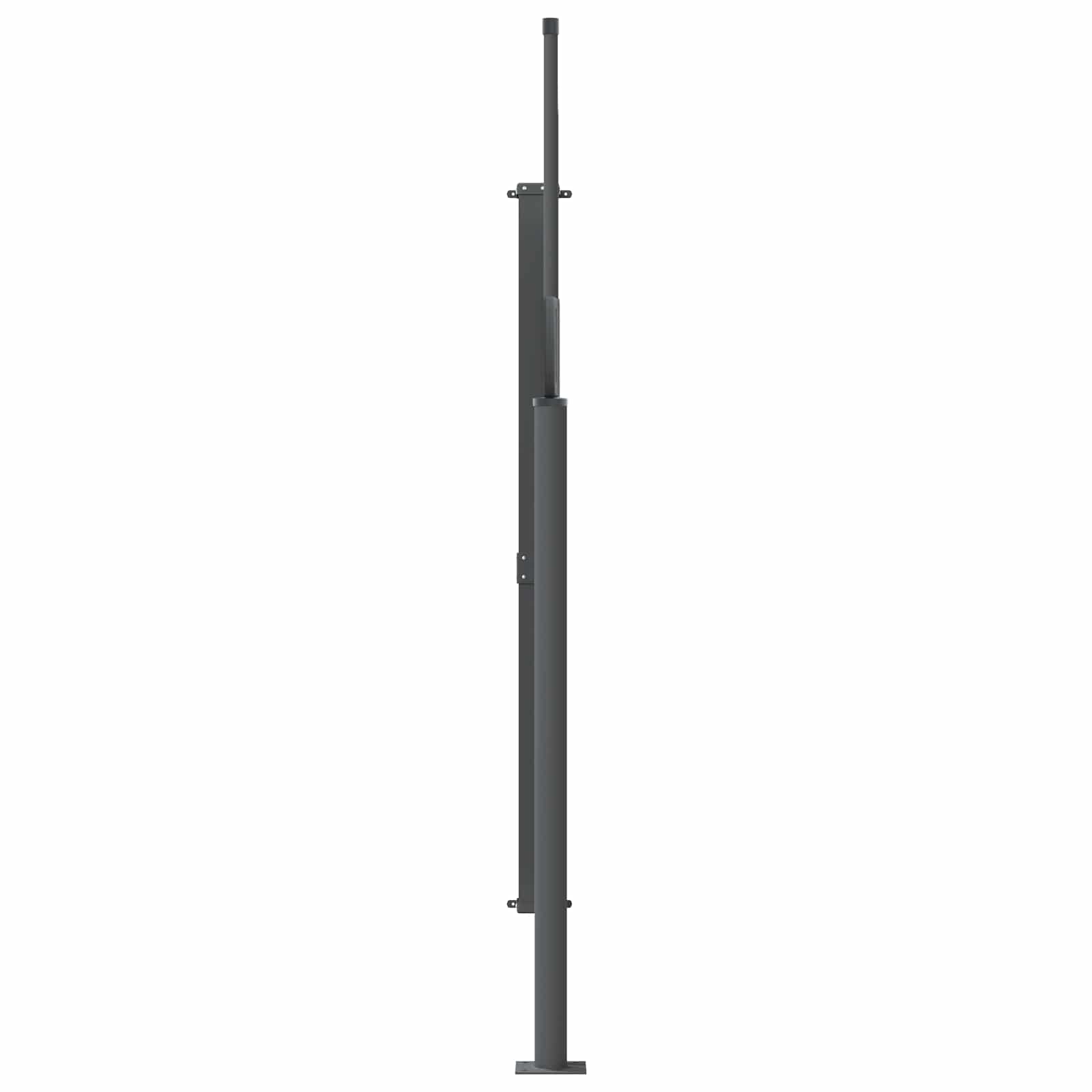 Ausziehbares Seitenmarkise Anthrazit 300 x 100 cm Polyester