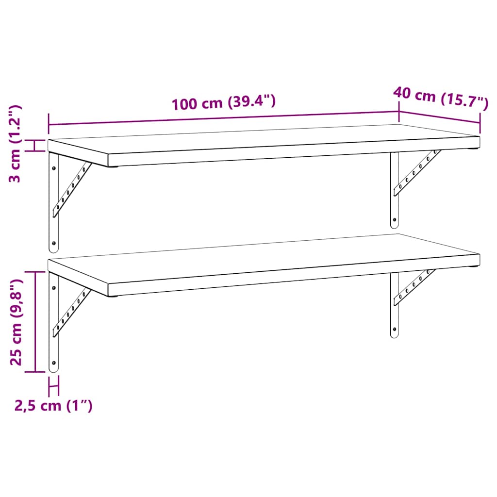 Wandregale 2 Stk. 100x40 cm Silbern Edelstahl