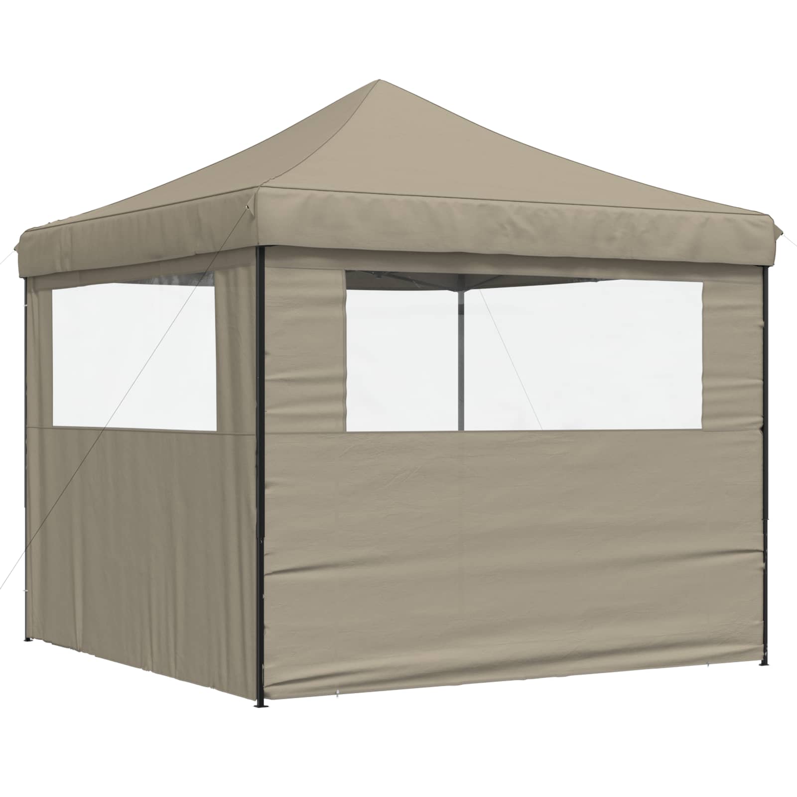 Partyzelt Faltbar Pop-Up Schwarz 292x292x315 cm