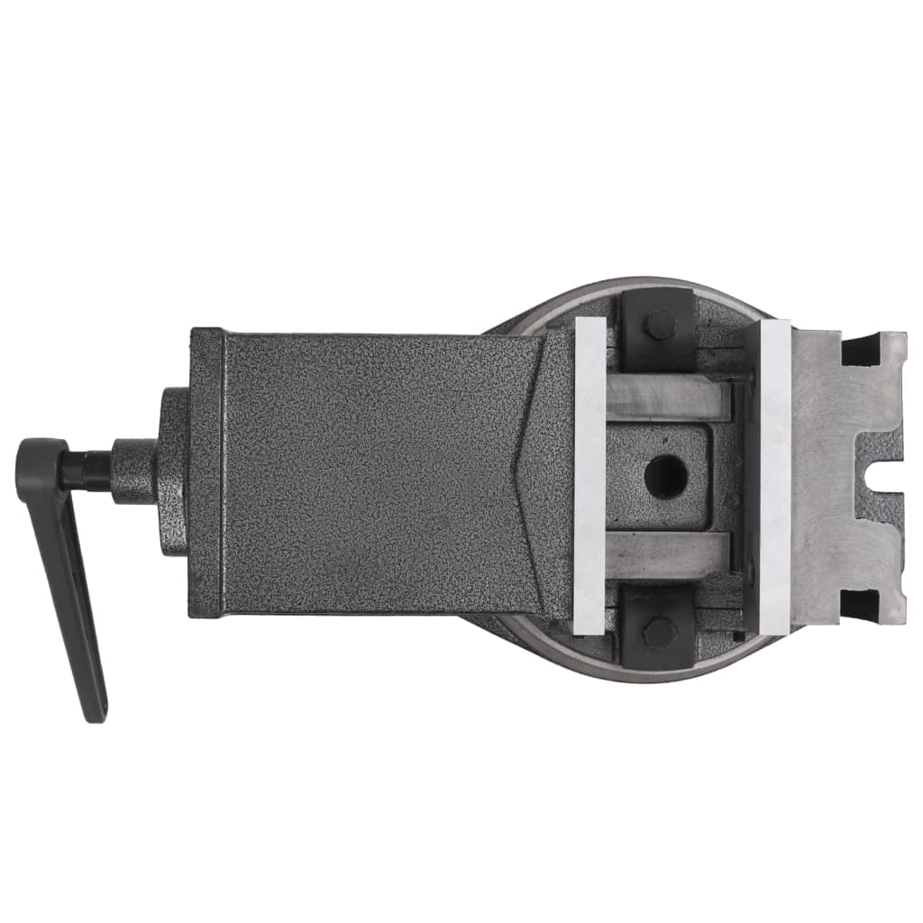 2-Achsen-Schraubstock Kippbar 100 mm