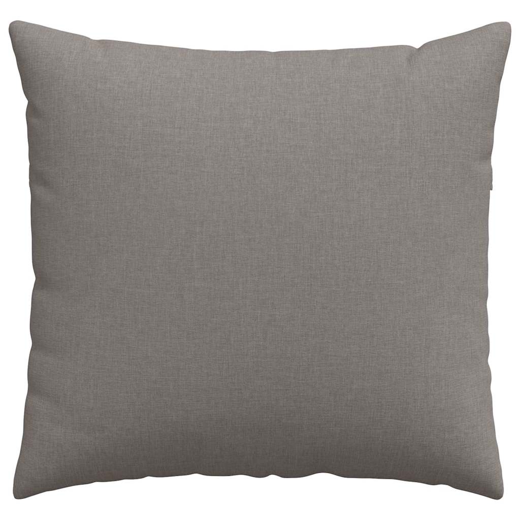 Sofakissen 2 pcs Hellgrau 50 x 30 cm Stoff