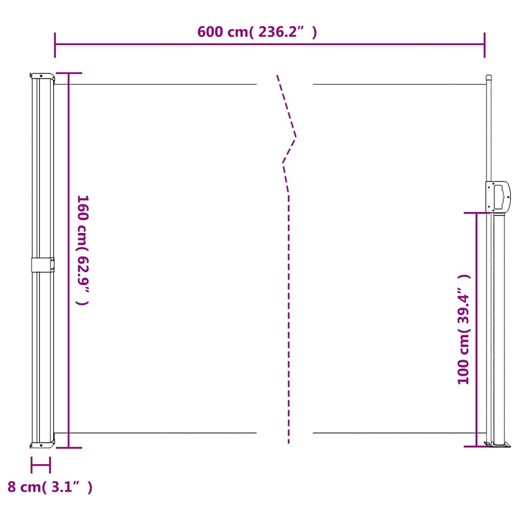 Seitenmarkise Ausziehbar Schwarz 100x300 cm