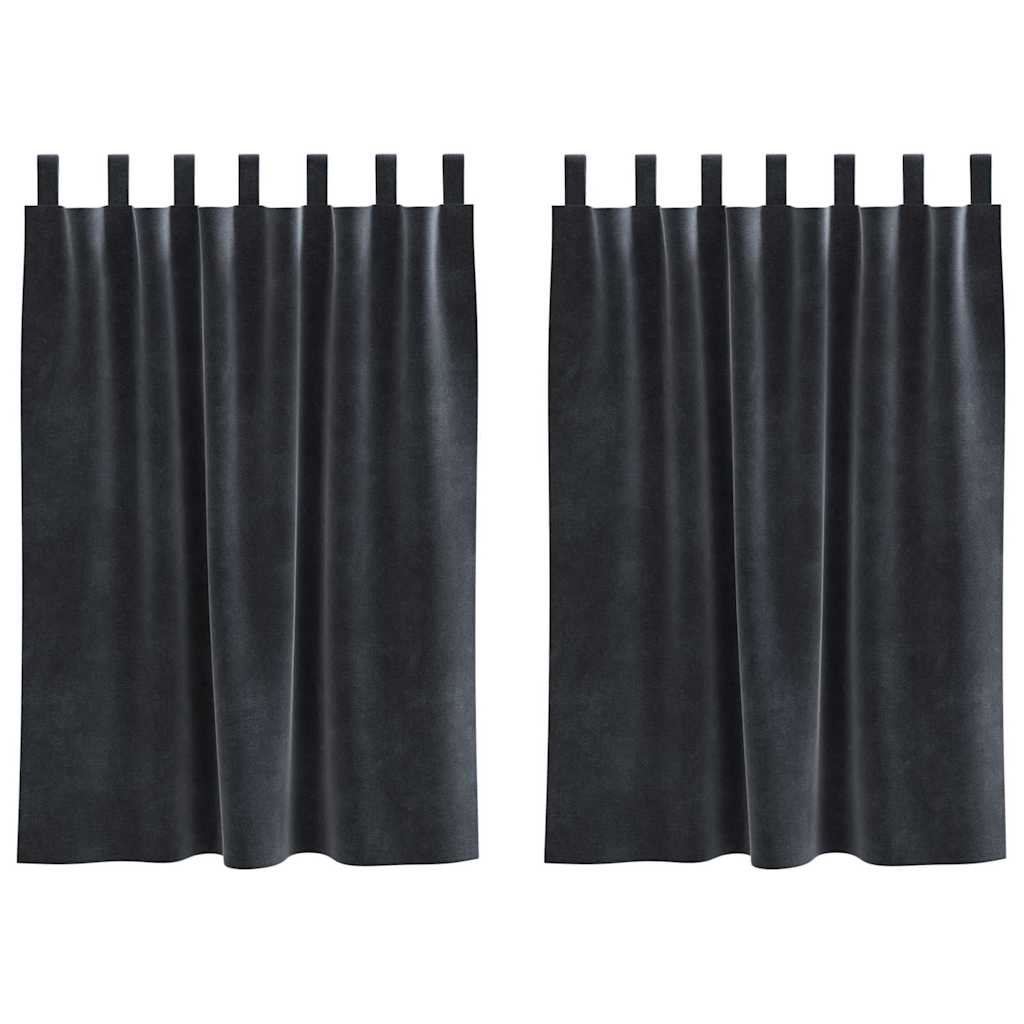 Verdunkelungsvorhänge 2 pcs Schwarz 140 x 140 cm Samt