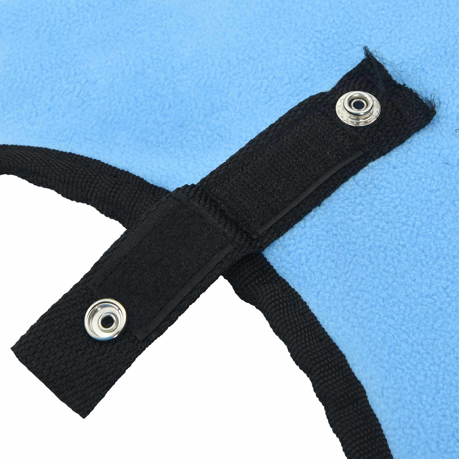 Pferdedecke Volles Aqua 75 cm Polyester