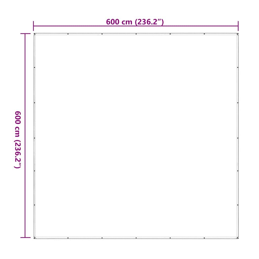 Transparente Plane mit Ösen 1x2 m Polyethylen