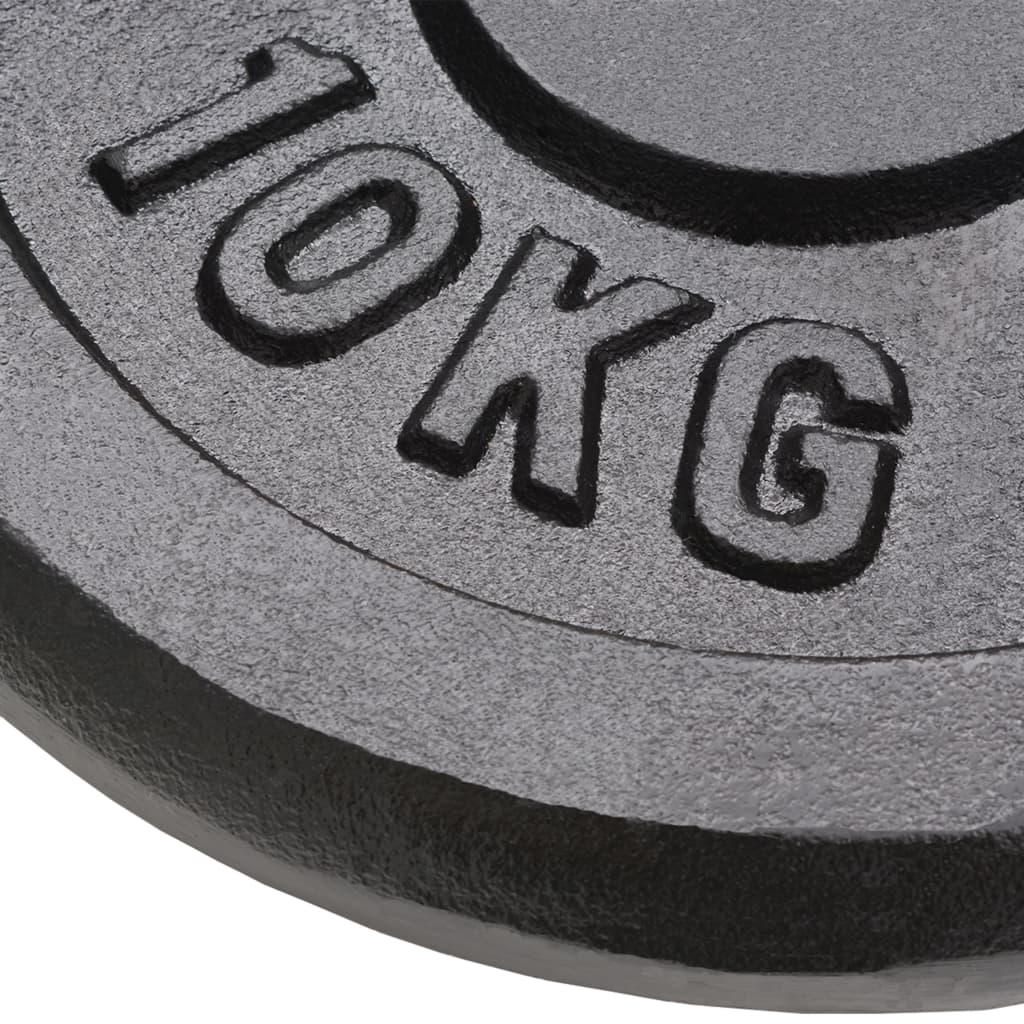 Hantelscheibe 40 kg Gusseisen