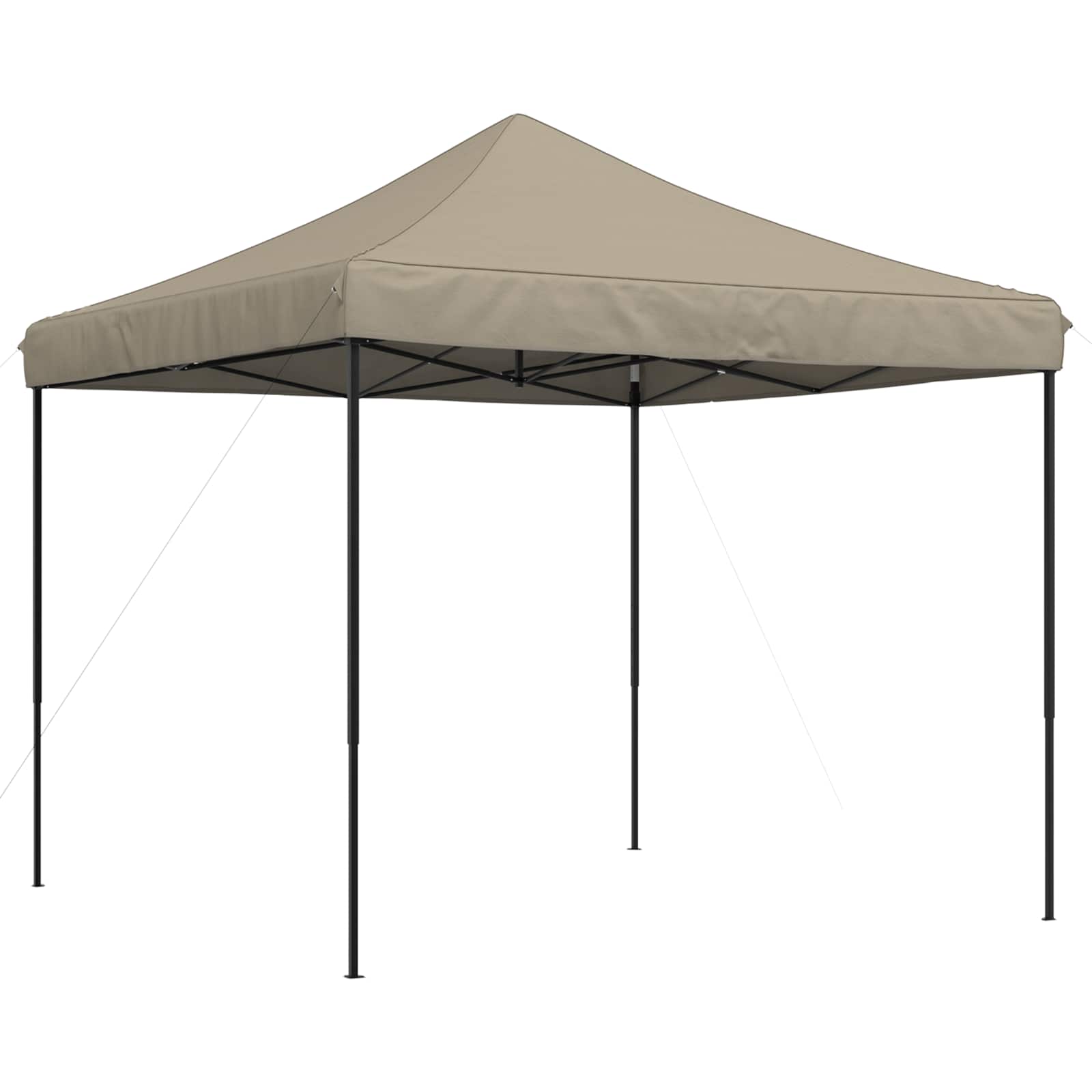 Partyzelt Faltbar Pop-Up Schwarz 292x292x315 cm