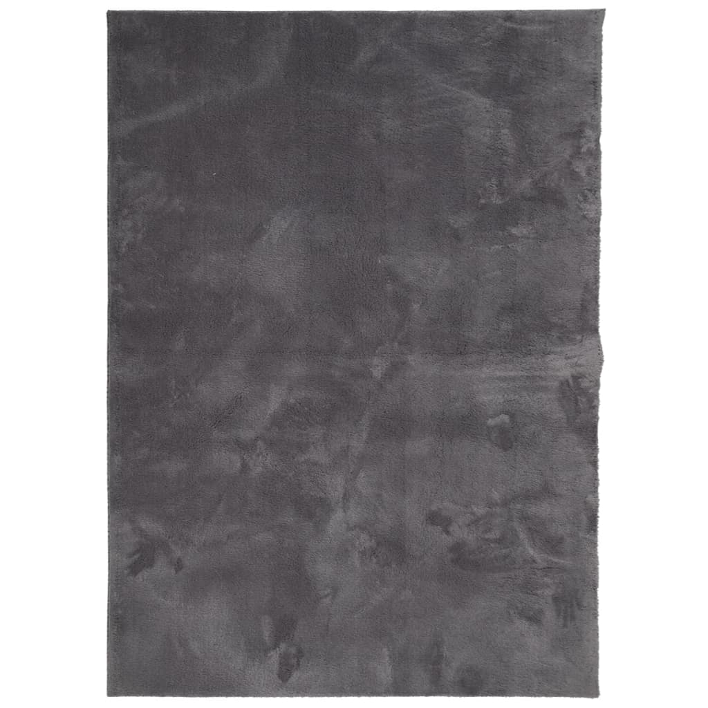 Teppich HUARTE Kurzflor Weich und Waschbar Anthrazit 60x110 cm
