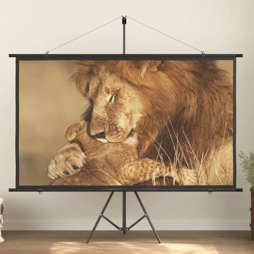 Beamer Leinwand 89" 1:1