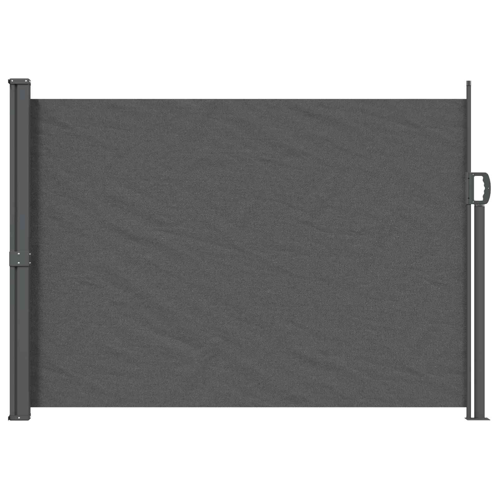 Ausziehbares Seitenmarkise Anthrazit 300 x 100 cm Polyester