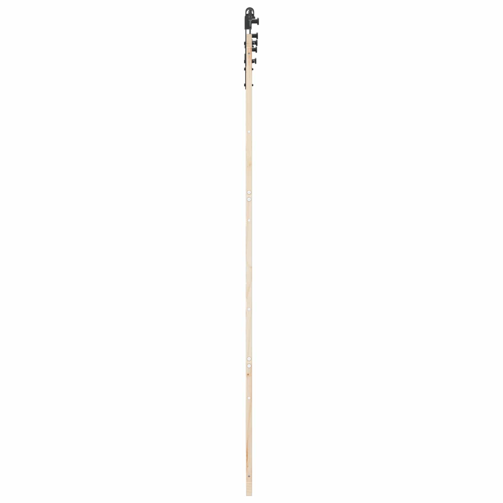 Schiebetür Natur 100 x 208 cm Massives Kiefernholz