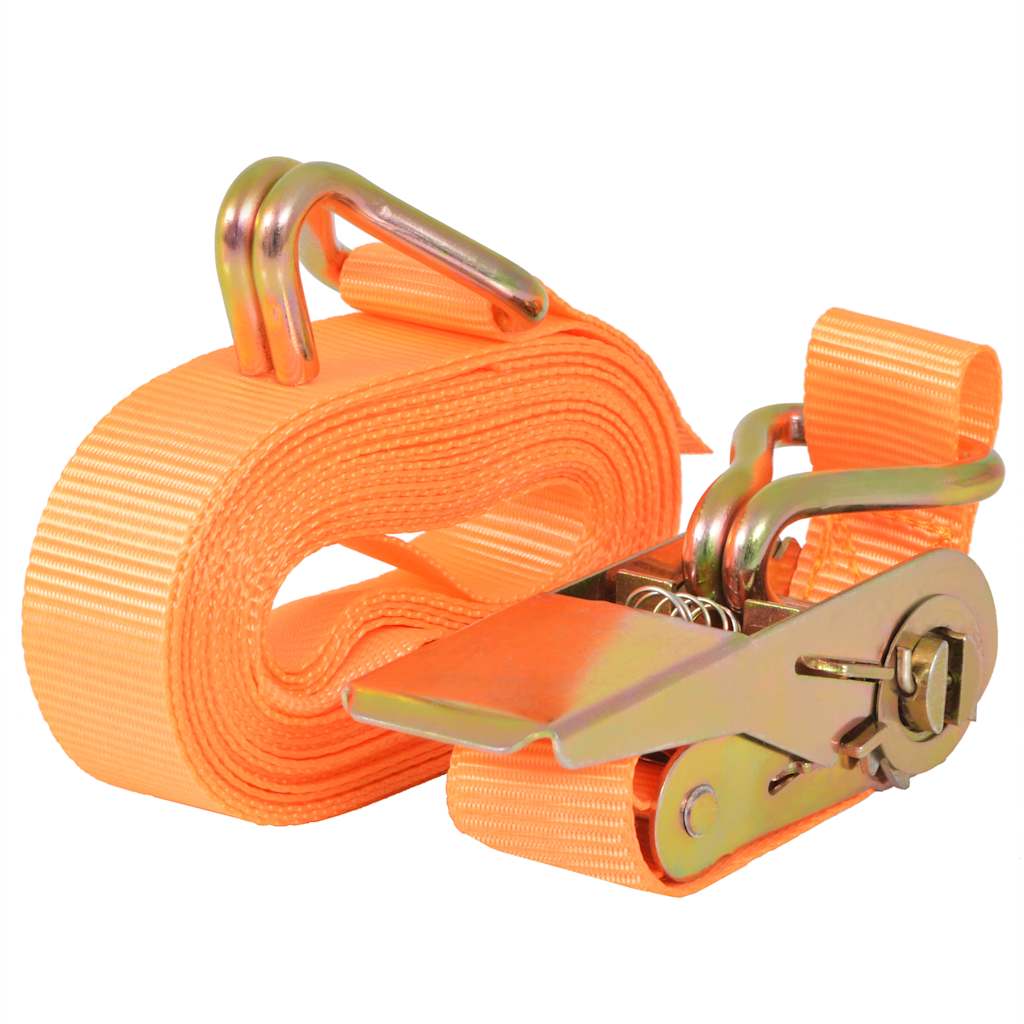 Ratschen-Spanngurte 4 Stk. 0,8 Tonnen 6m×25mm Blau