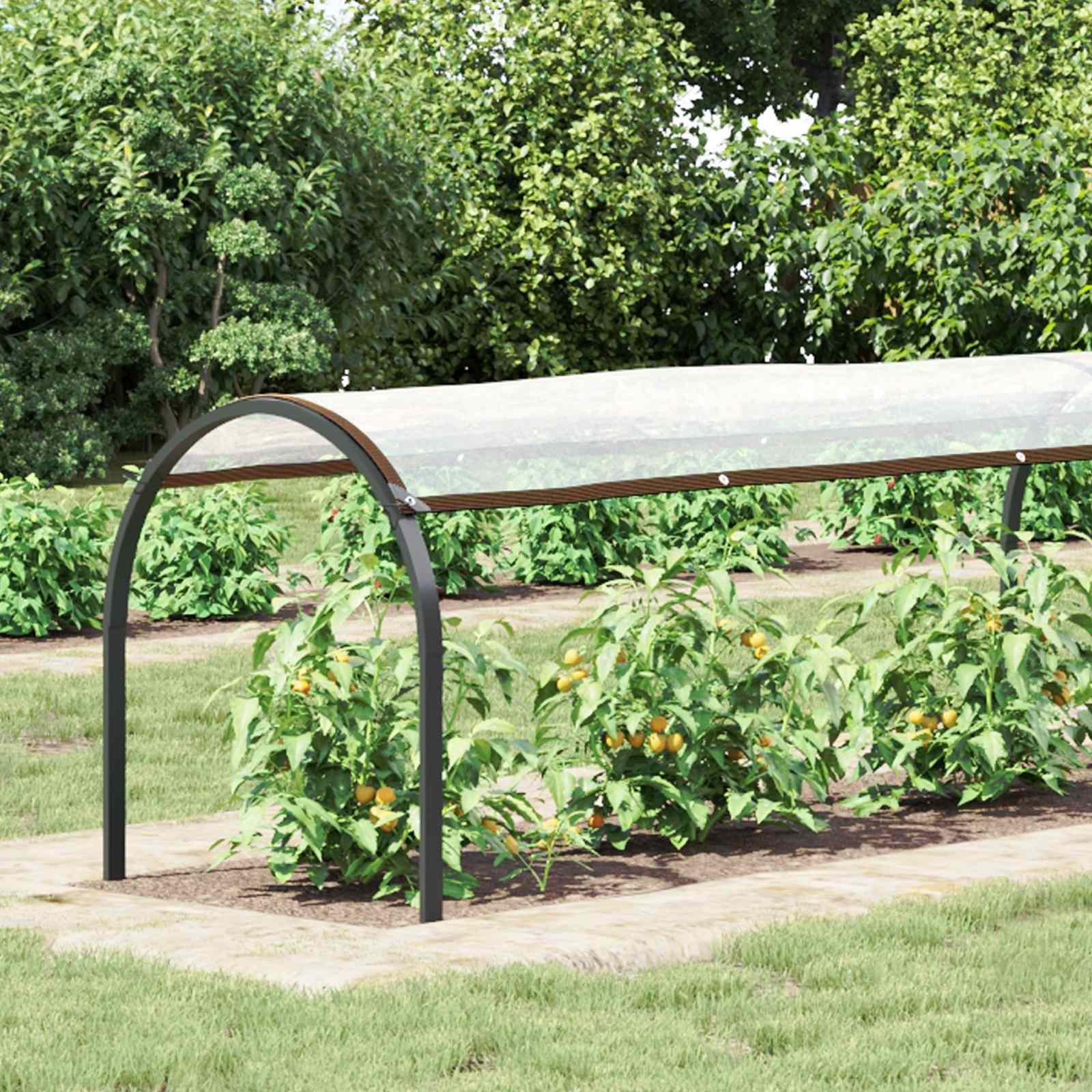 Pflanzenabdeckung mit Ösen 1x3 m Polyethylen