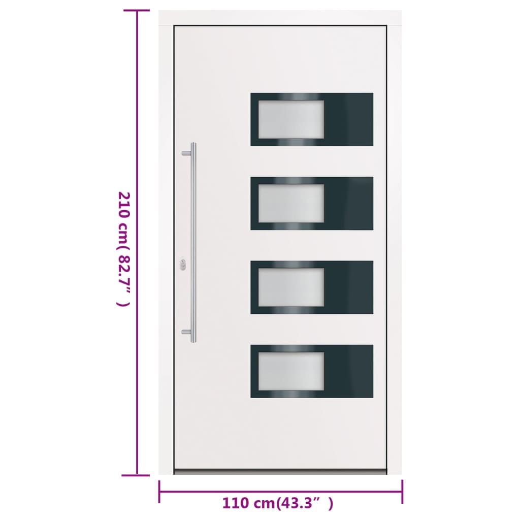 Haustür Anthrazit 100x210 cm Aluminium und PVC