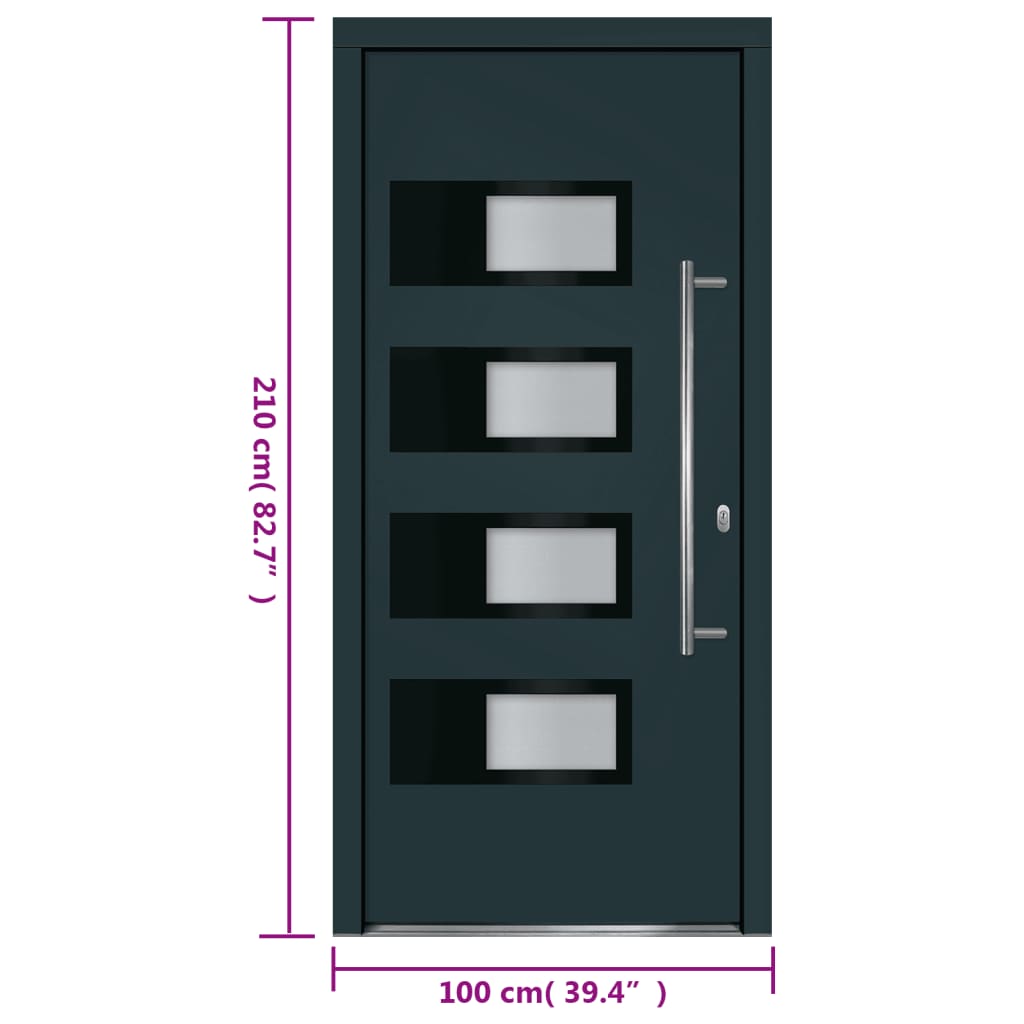 Haustür Anthrazit 100x210 cm Aluminium und PVC